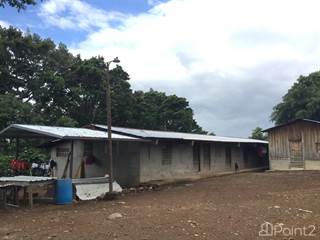 Coffee Farm for Sale in Boquete, Panama – Over 20 Hectares, Boquete, Chiriquí