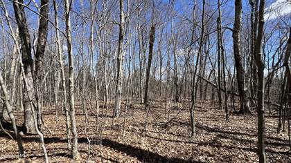 Picture of LOT14 Skyline Ridge Rd, Greater Sherwood Forest, MA, 01223