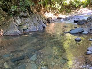 PROPERTY WITH BEAUTIFUL RIVER ACCESS AND GREAT MOUNTAIN VIEWS - 98 ACRES, Platanillo, Puntarenas