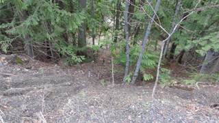 Lot 30 Vickers Trail,, Anglemont, British Columbia, V0E1M8