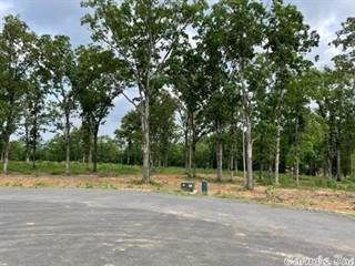 Lot 3 Orchard Hill Ph III, Conway, AR, 72034