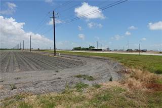 0000 Hwy 181 & County Rd 3677 (East of CR 3677), Gregory, TX, 78359