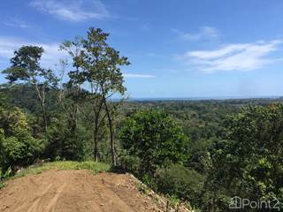 Perfect Building Site for your Boutique Hotel! Costa Rica Caribbean Coast, Hone Creek, Limón