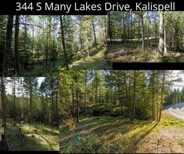 Lot/Land for sale in 344 South Many Lakes Drive , Kalispell, MT, 59901
