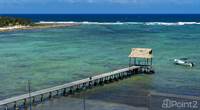 Photo of Ocean View Condo Steps to the Beach Tankah Bay