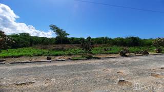 (Ref. 400) Spacious Land for Building or Groing fruits Vegetables or plants, San Pedro De Macoris, San Pedro de Macorís