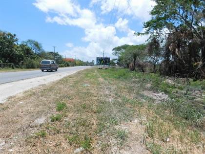(2332) FOUR ADJACENT LOTS WITH HIGHWAY FORNTAGE IN COROZAL, BELIZE, C.A., Corozal Town, Corozal District