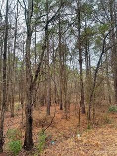 Lot 3 Great Falls Highway, Chester, SC, 29706