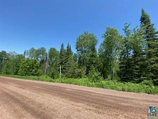 869 Forest Heights Rd, Two Harbors, MN, 55616