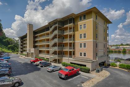 3001 River Towne Way APT 203, Knoxville, TN, 37920