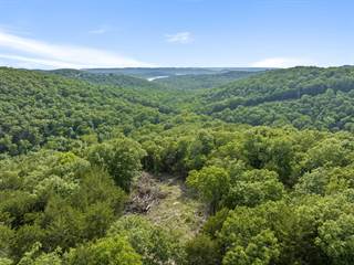 80 Acres Northwoods Drive, Kimberling City, MO, 65686