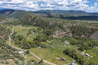 X County Road 335, Pagosa Springs, CO, 81147