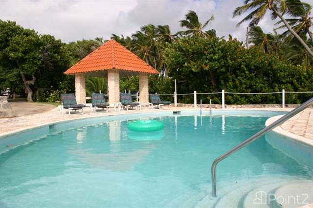 Barbados Luxury,   Long-shot of The Pool - photo 5 of 14