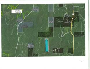 Off HOLFORD RD 120 ACRES, Long Lake, WI, 54542