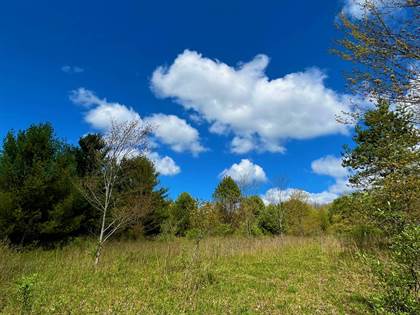 2396 Andover Rd LOT 4, Wellsville, NY, 14895