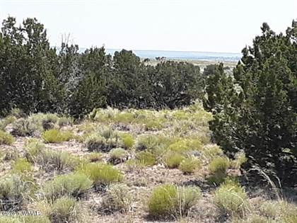 land for sale sanders az vacant lots for sale in sanders point2 land for sale sanders az vacant lots