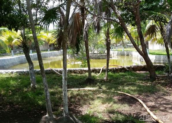 land in cancun for sale