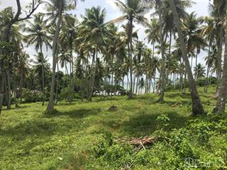 Lots And Land for sale in Development opportunity with over 40,000 M2 of beachfront land in La Pascuala, Samana, Samaná