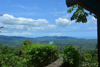 Drake Bay - Agujas River: 5 fotos - Puntarenas, Costa Rica