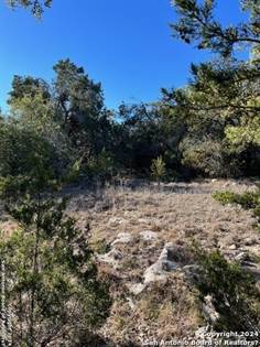 Picture of 1250 Myers Creek Rd, Dripping Springs, TX, 78620