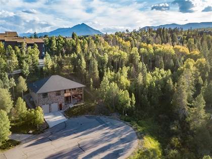 315 FAWN COURT, Silverthorne, CO, 80498
