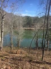 434 Lot 17 Castlewood Subdivision 17, Robbinsville, NC, 28771