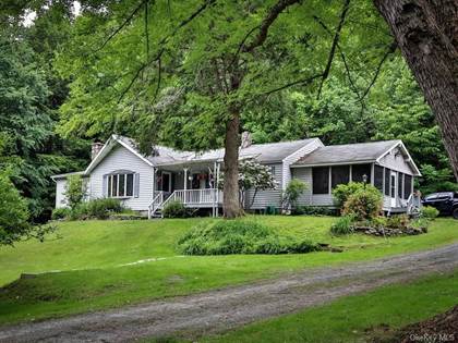 1590 Old Route 17, Greater Livingston Manor, NY, 12776
