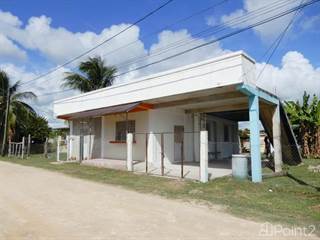 Hermelinda Layout, Corozal near the Corozal Community College, Corozal Town, Corozal District