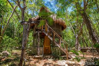 Escape to Paradise: Explore Playa del Carmen´s Ecological Community MLSPT884, Playa del Carmen, Quintana Roo