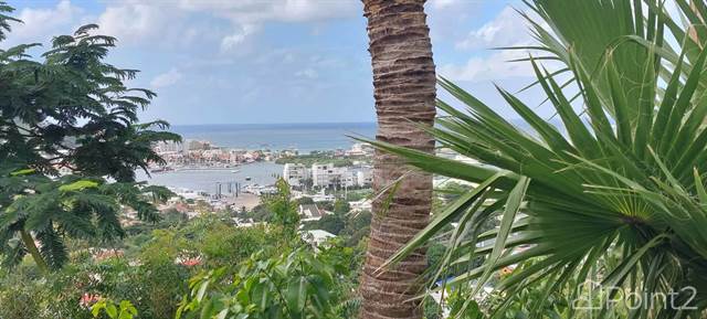 ALMOND GROVE , Sint Maarten