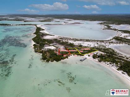 Large (0.19 acre) Beachfront Lot at Secret Beach, Belize - photo 3 of 4