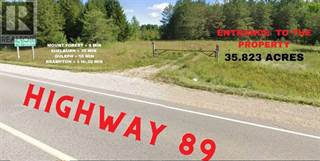 6081 HWY 89, CLIFFORD RD, Minto, Ontario, N0G1M0