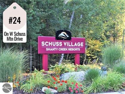 Picture of 24 W Schuss Mountain Drive, Bellaire, MI, 49615