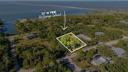 Picture of 317 W Pine Ave, St. George Island, FL, 32328