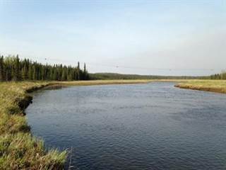001 Moose River 12 Acres, Hope, AK, 99605