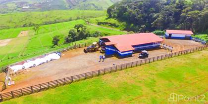 Picture of Naranjo agriculture and cattle farm Rio Barrancas, Naranjo, Alajuela