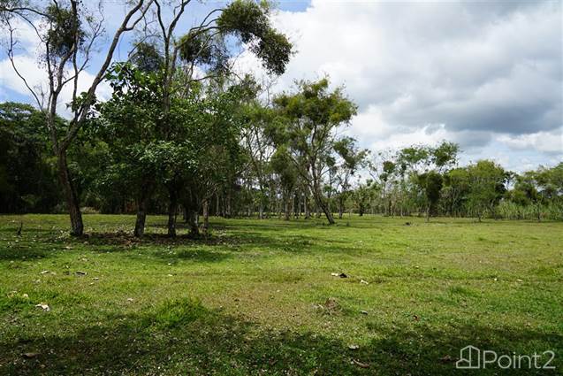 Over 6 Acres of Beautiful Riverfront Land Plus Baru View in Guayabal, Boqueron - photo 11 of 13