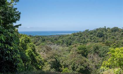 Picture of Ocean View Development Land In Uvita - 37 Acres, Uvita, Puntarenas