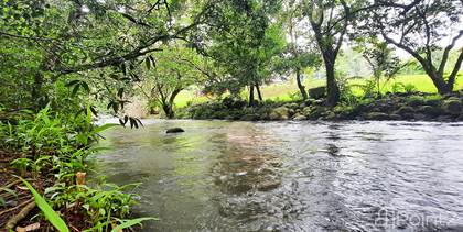 Beautiful land with river, Piedades Sur, San Ramón, San Ramon, Alajuela