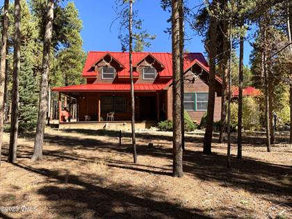 Picture of 1299 County Road 4, Leadville, CO, 80461