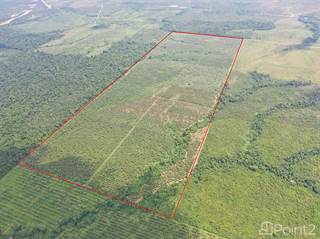 198 Acres near the Coastal Highway| Belize Real Estate, Mullins River, Stann Creek