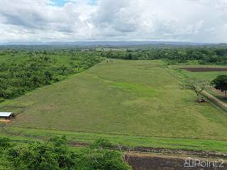 25 Acres Of Cleared Land, Cayo, Belize