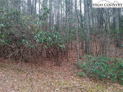 Picture of Tbd Lake Circle Street, West Jefferson, NC, 28694