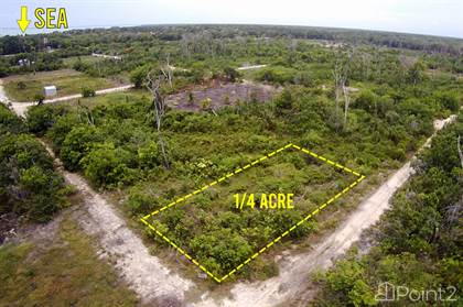 Land For Sale In Belize Find Nearby Lots For Sale Point2