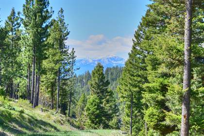 1898 Twisted Pine Road, Florence, MT, 59833
