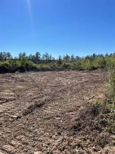 Picture of Lot 5 River Rd., Columbia, MS, 39429
