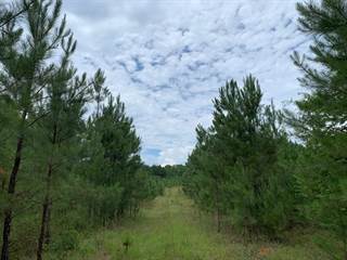 54.95 Ac OLD WIRE ROAD, Junction City, GA, 31812