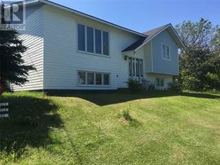 Central Newfoundland Real Estate Houses For Sale In Central