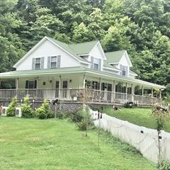 955 Smokey Valley Road, Olive Hill, KY, 41164