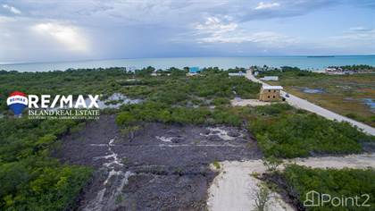 Secret Beach - Main Road Investment Lot, Ambergris Caye, Belize